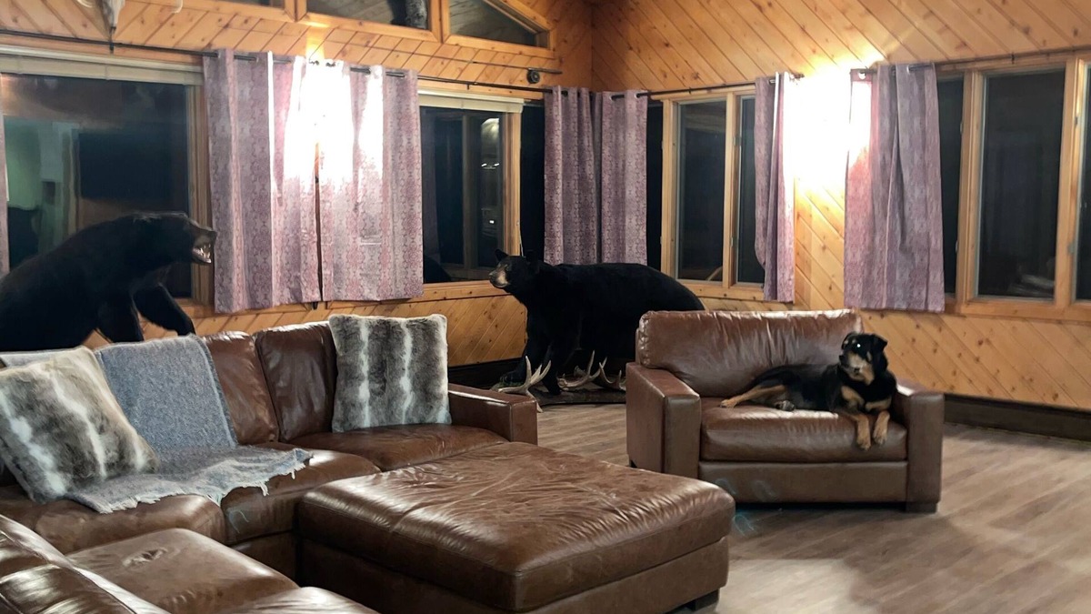 Sherman Station Cabin | Cozy Lodge