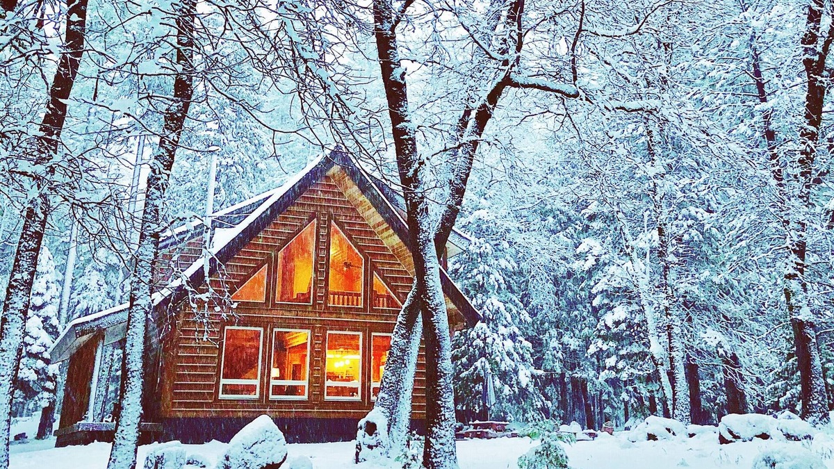 Shingletown Cabin | Cozy Log Cabin on 3 Acres Near Lassen Volcanic National Park