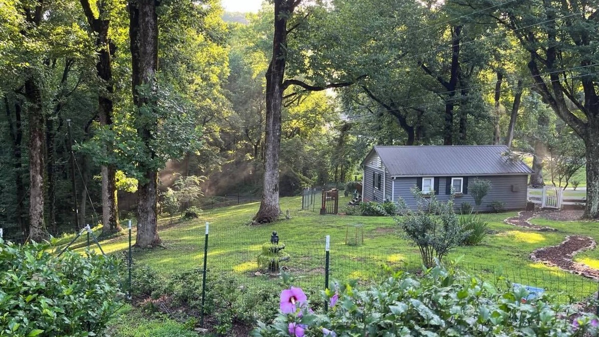 Jasper Cabin | Cozy mountain cabin on 15 acre Animal Sanctuary