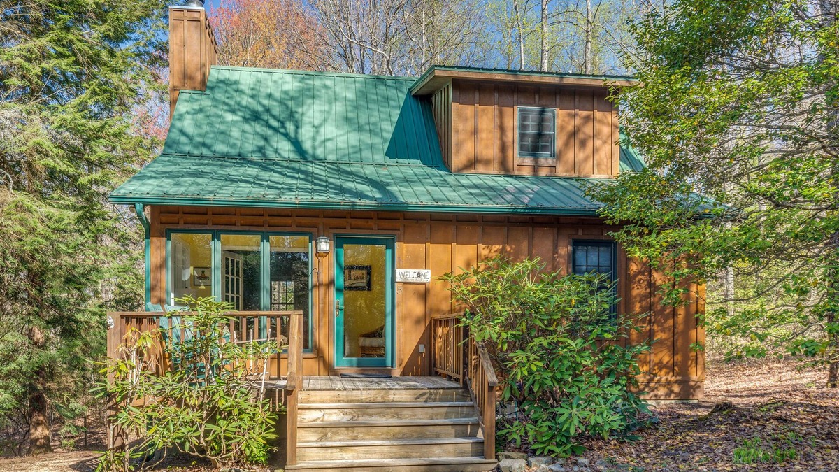 Pisgah Forest Cabin | Cozy Mountain Top Cabin 13 Acres Near Dupont State Forest-Pet Friendly-Wifi- EV