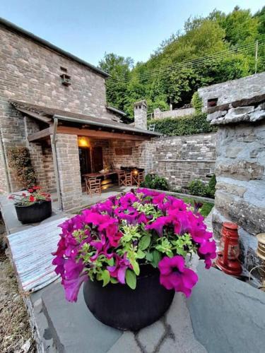 Dikoryfo House | Cozy Nest House Δίκορφο Ζαγορίου