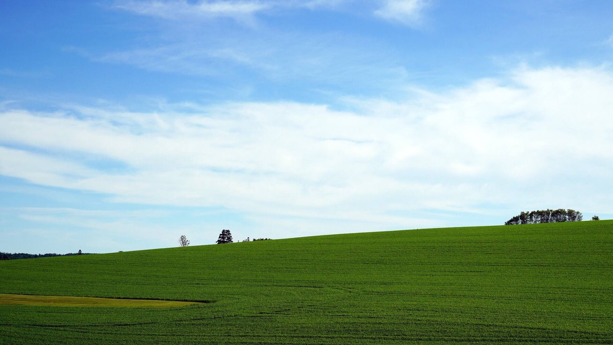 New Glasgow Cottage | Cozy private cottage with picturesque scenery