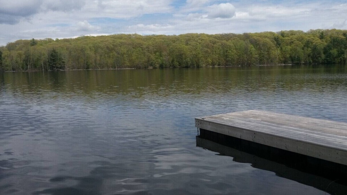 Central Frontenac Cottage | COZY PRIVATE COTTAGE WITH BOAT LAUNCH, ON BEAUTIFUL BOBS LAKE ON.