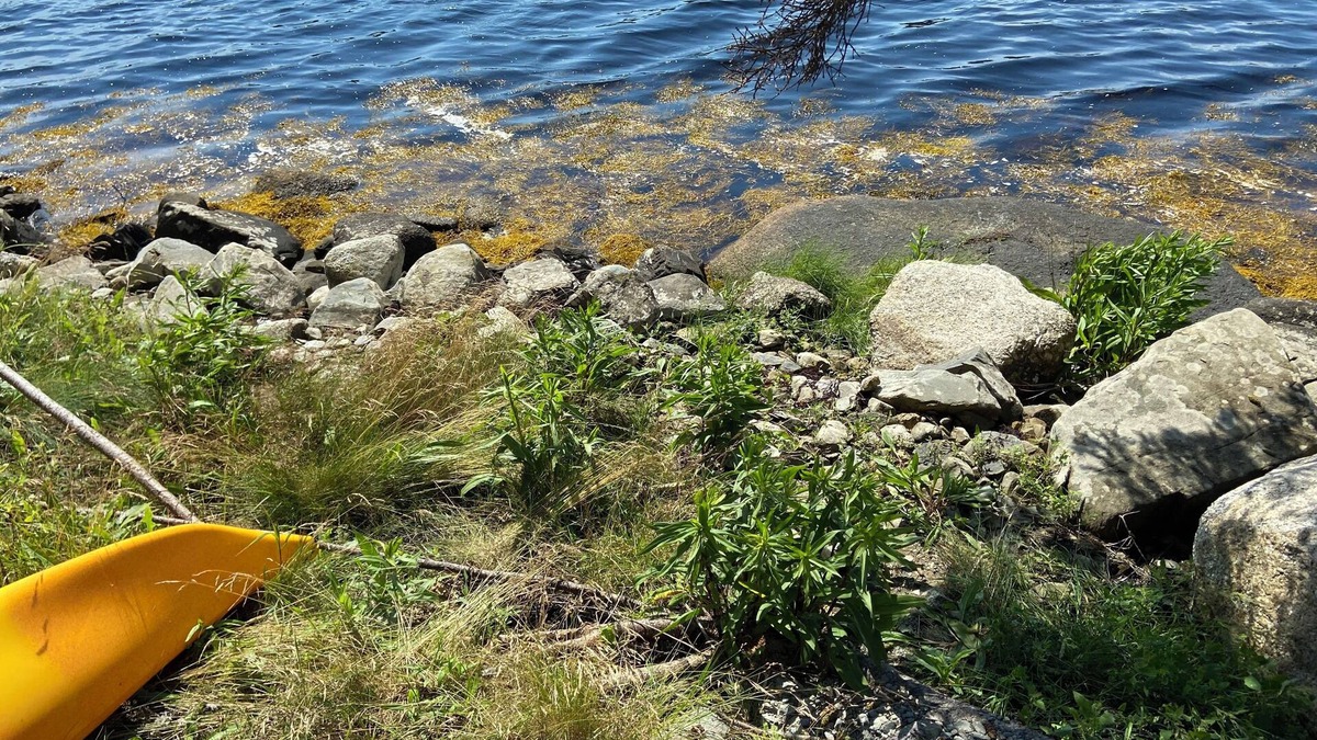 Spry Bay Cottage | Cozy private waterfront cottage on the Eastern shore. Just 1.5hrs from Halifax.