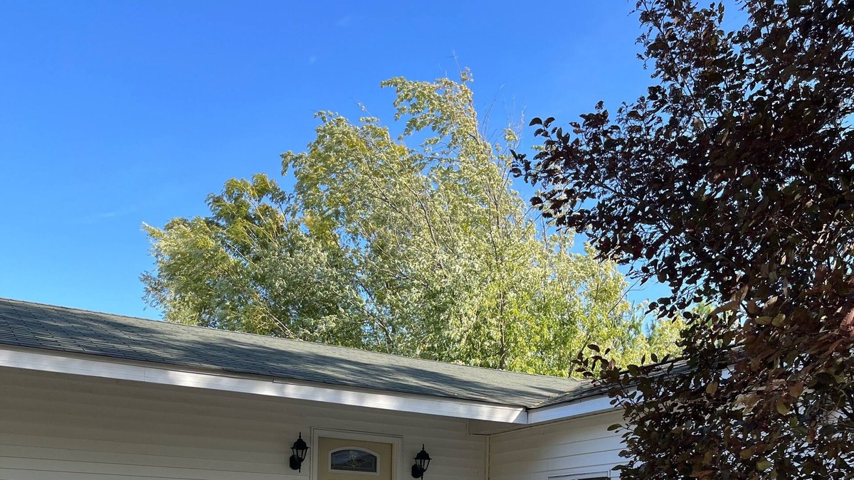 Murdock Cottage | Cozy, quiet cottage in the country with stocked lake access