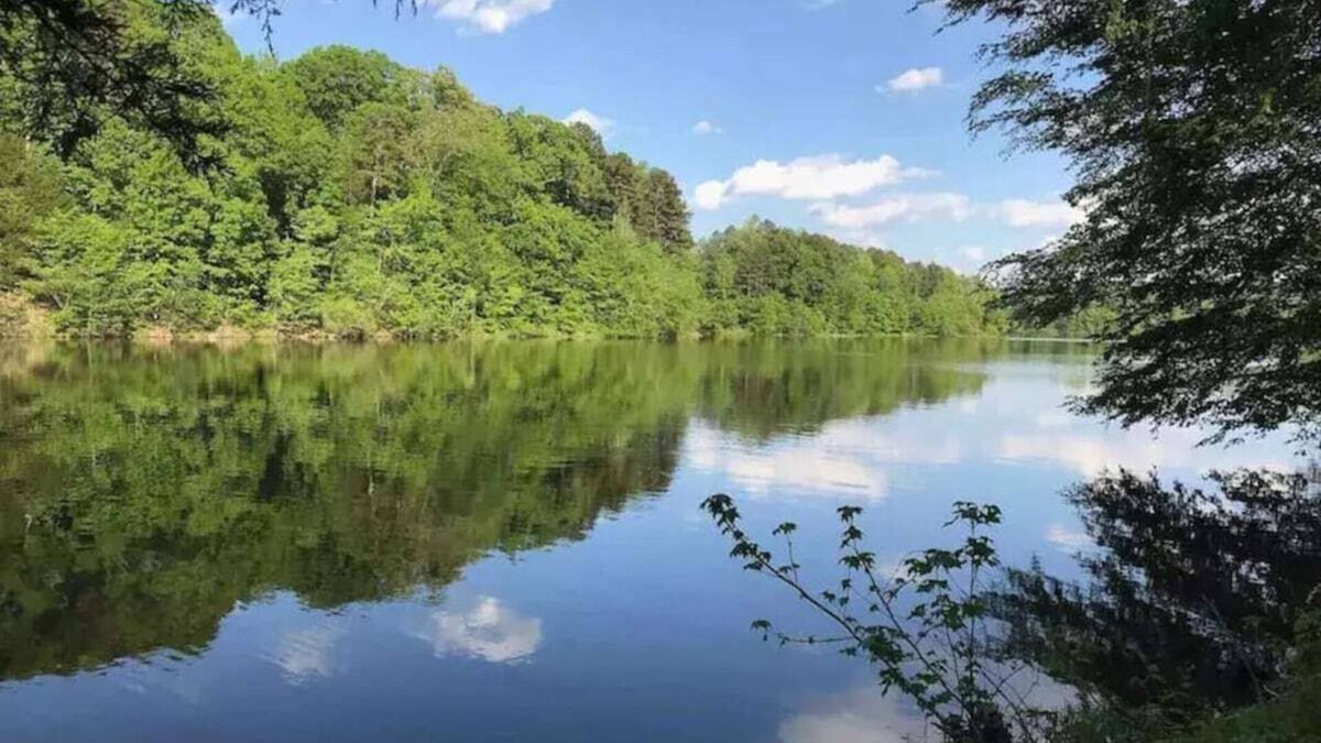 Bahama House | Cozy & relaxing cottage on the lake *Dog Friendly*