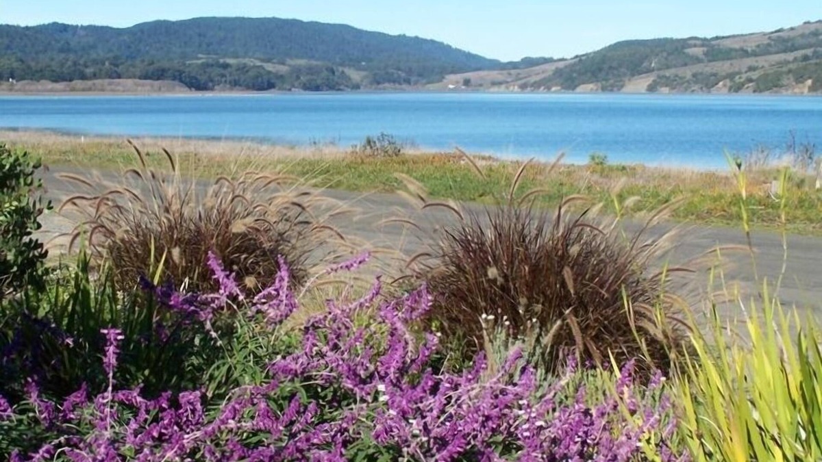 Stinson Beach House | Cozy, Relaxing Stinson Beach Getaway