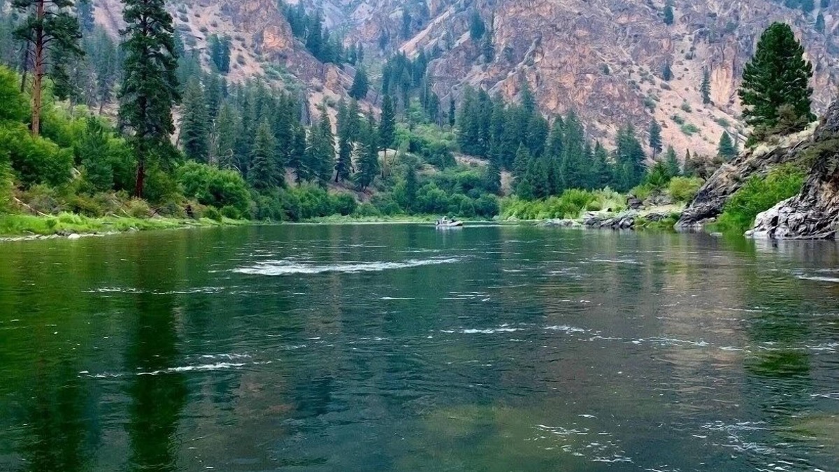 Riggins Condo | Cozy retreat within walking distance of anything in town and the salmon river!