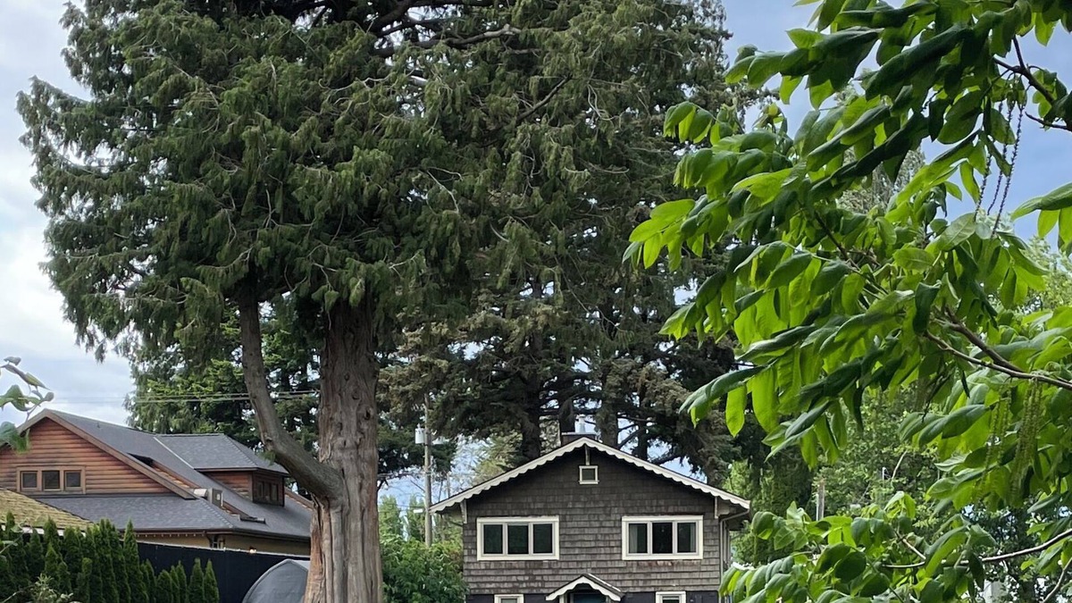 Harrison Hot Springs Cottage | Cozy Riverside Cottage with Private Hot Tub