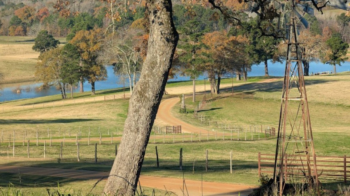 Anderson County House | Cozy RV - Awesome View - Fishing & Pet Friendly!