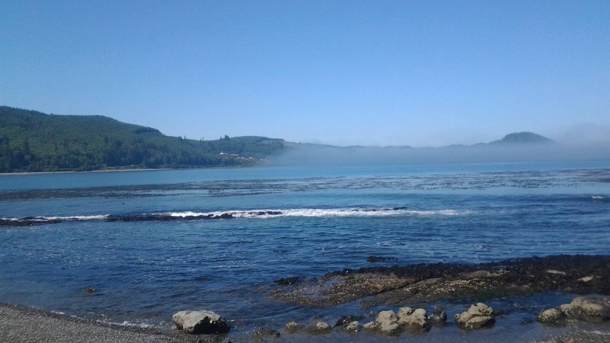 Clallam Bay House | Cozy Single Family Residence that sits on the straights of Juan De Fuca!