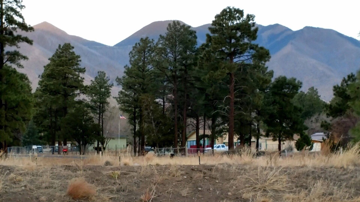 Flagstaff Apartment | Cozy Studio Apartment At The Base Of The San Francisco Peaks.