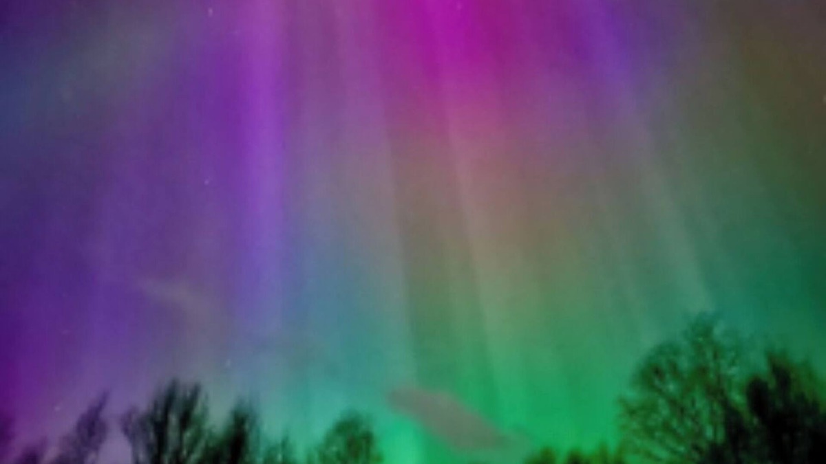 Knik-Fairview Cabin | Cozy studio cabin in Wasilla for a peaceful getaway