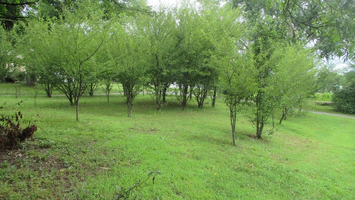 Concord Apartment | Cozy Studio Country Peaceful Charm Concord 2 Minute to Cabarrus Arena