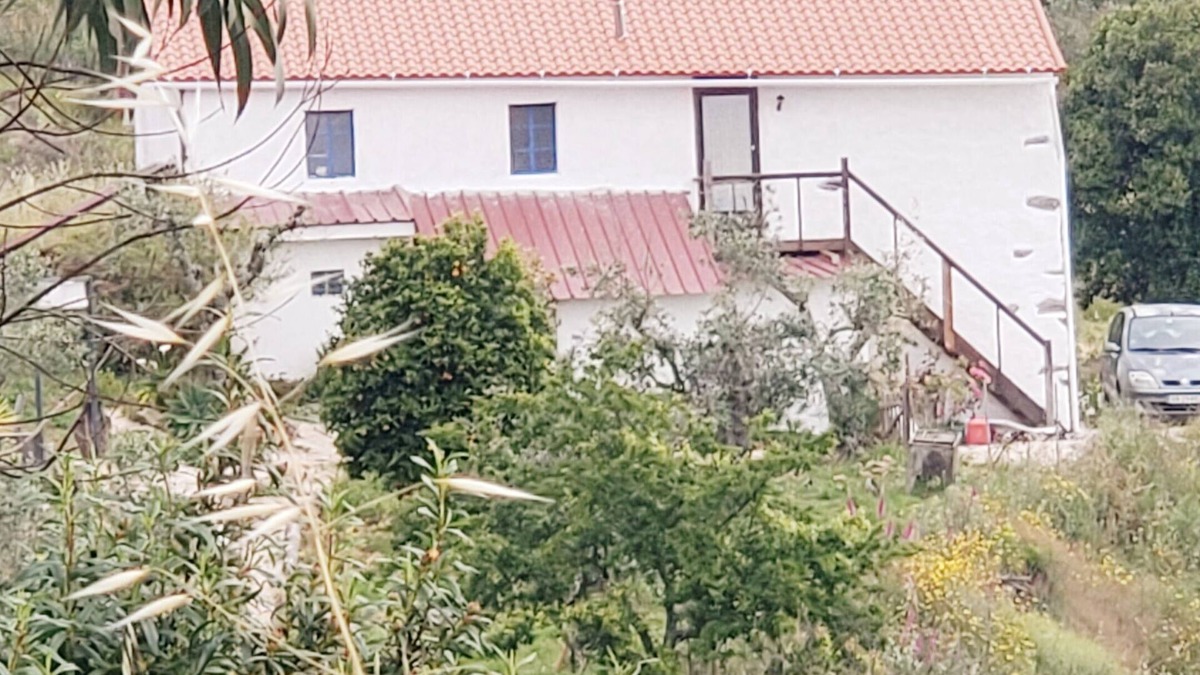 Macao Apartment | Cozy studio in the mountains of Central Portugal! Vegan and pet friendly!