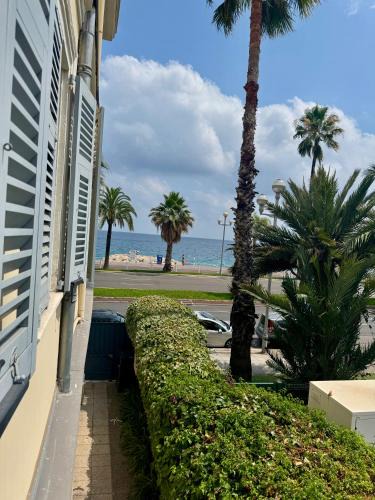 Carre d'Or Apartment | Cozy studio sur la promenade