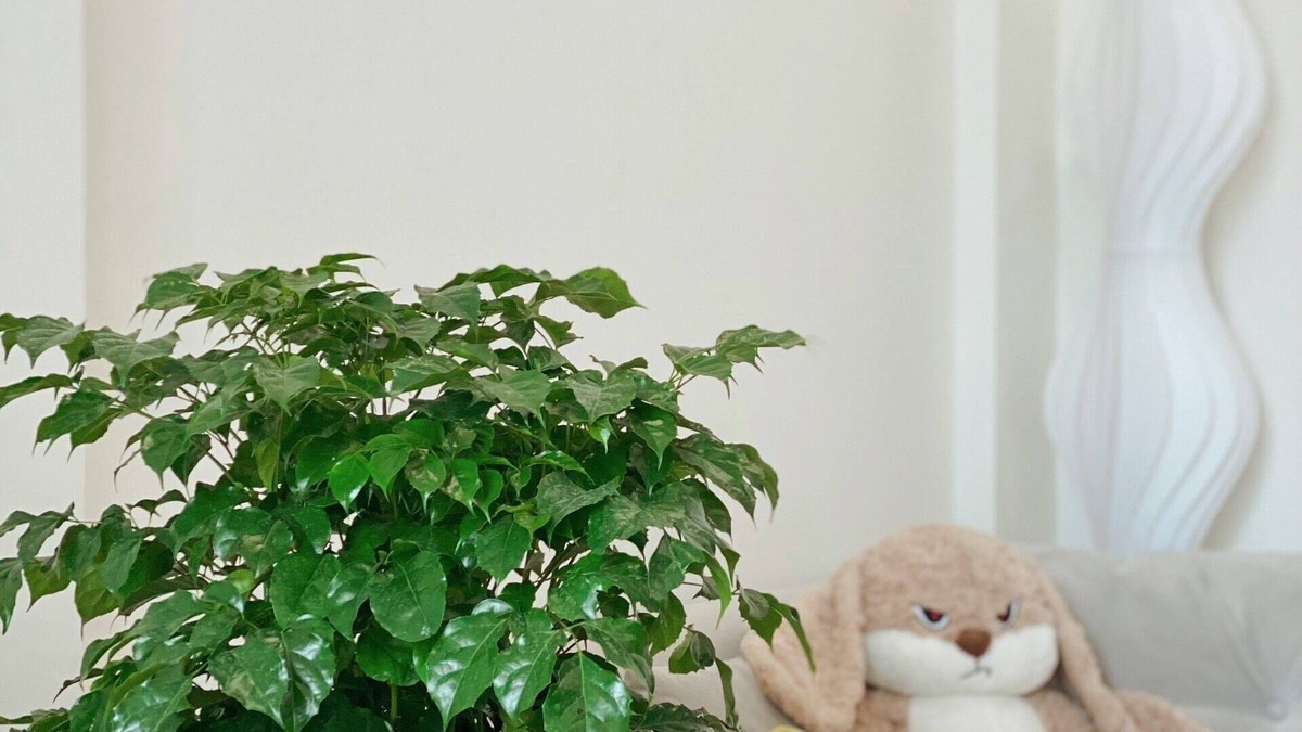 Tu Liem Apartment | Cozy studio in pleasant Hà Nội with WiFi, AC