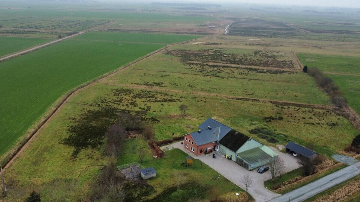 Humptrup Apartment | Cozy vacation apartment "Nordseewind" on the farm