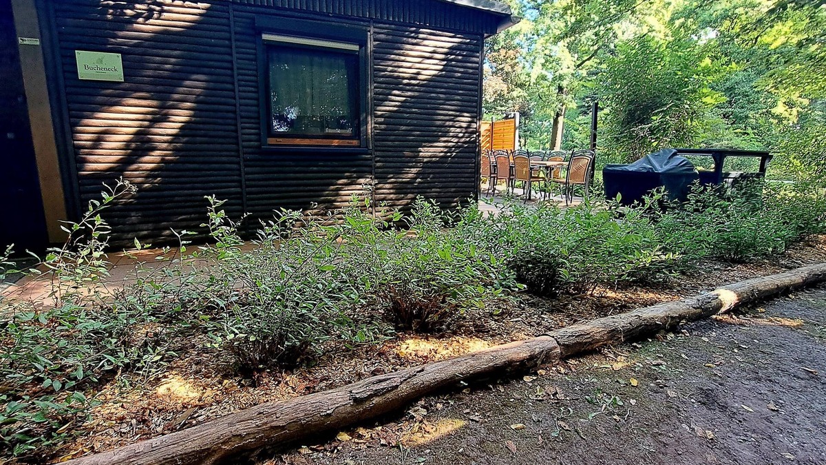 Gablenz House | Cozy vacation home for up to 10 guests Grill/fire bowl/darts near Rakotzbrücke