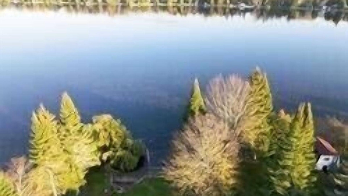 Bolsover House | Cozy waterfront cottage with private shoreline