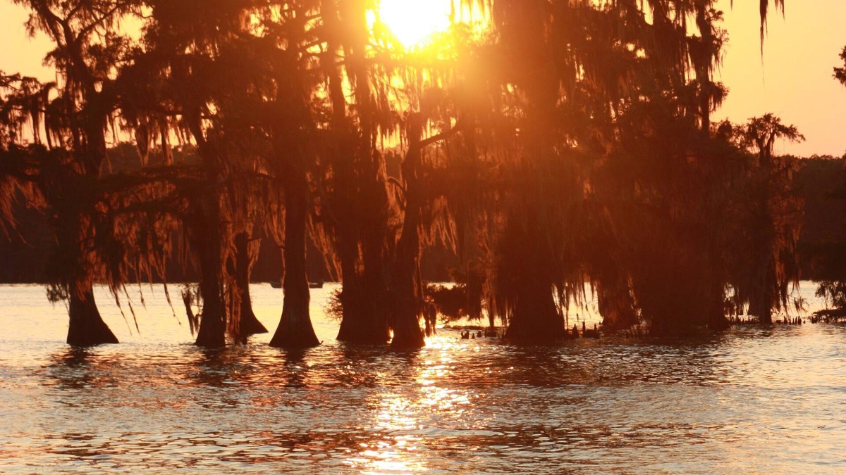 Pierre Part Apartment | Cozy waterfront studio apartment with a covered deck on Bayou Pierre Part.
