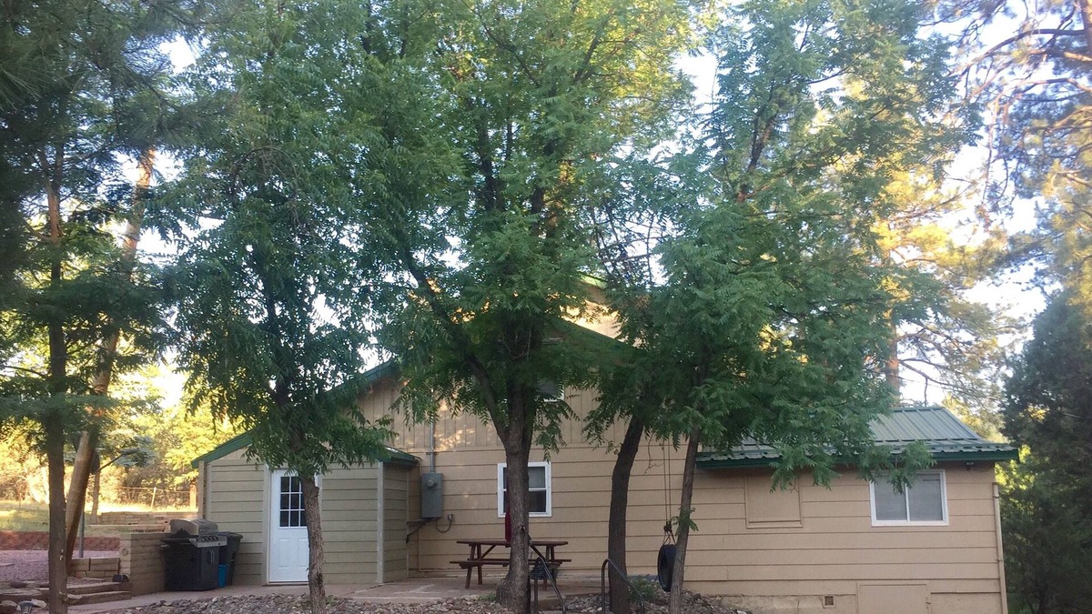 Payson Cabin | Create lasting Memories - Secluded Cabin. Sleeps 12