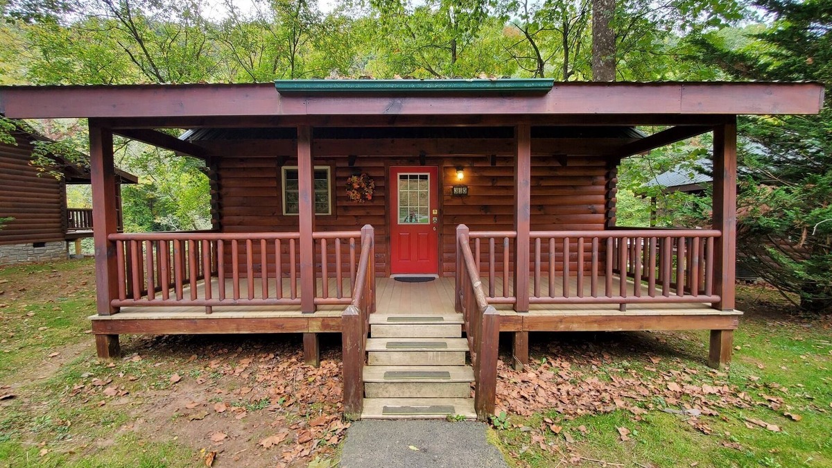 Galax Apartment | Creek Song