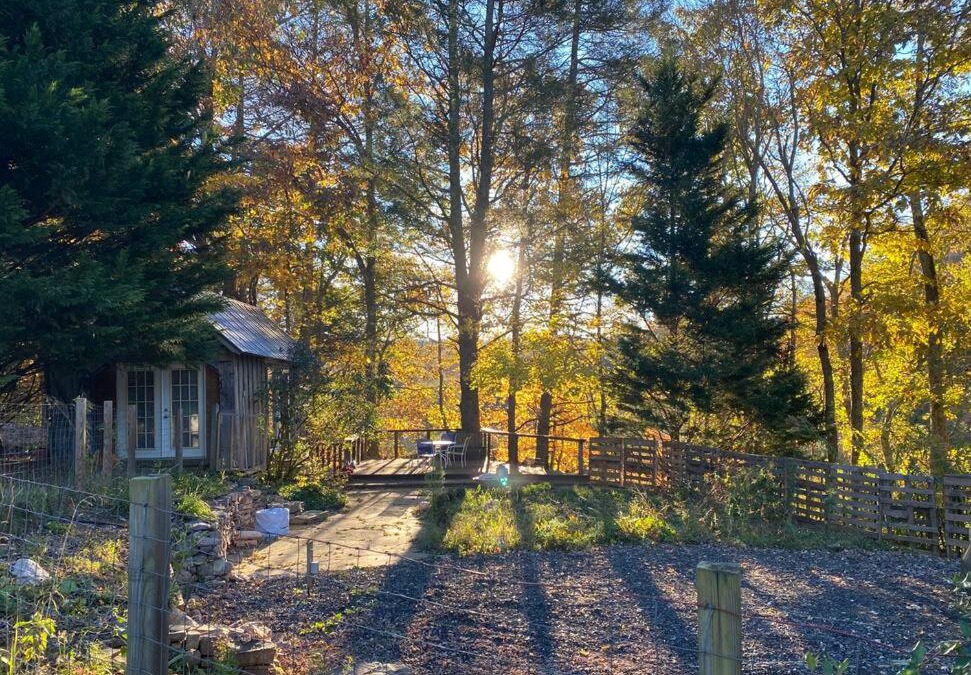 Court House House | Creek View Cabin at Skipwillow Farm - Floyd, VA