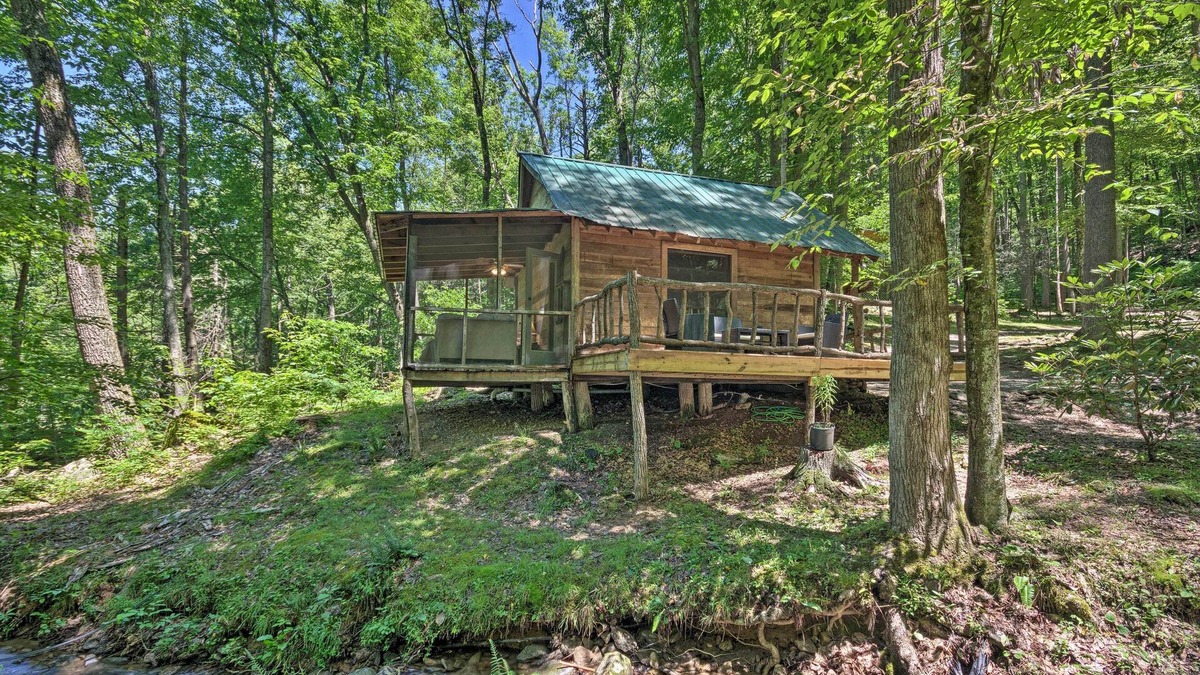 Barnardsville Cabin | Creekside' Cabin w/Deck in Pisgah Forest!