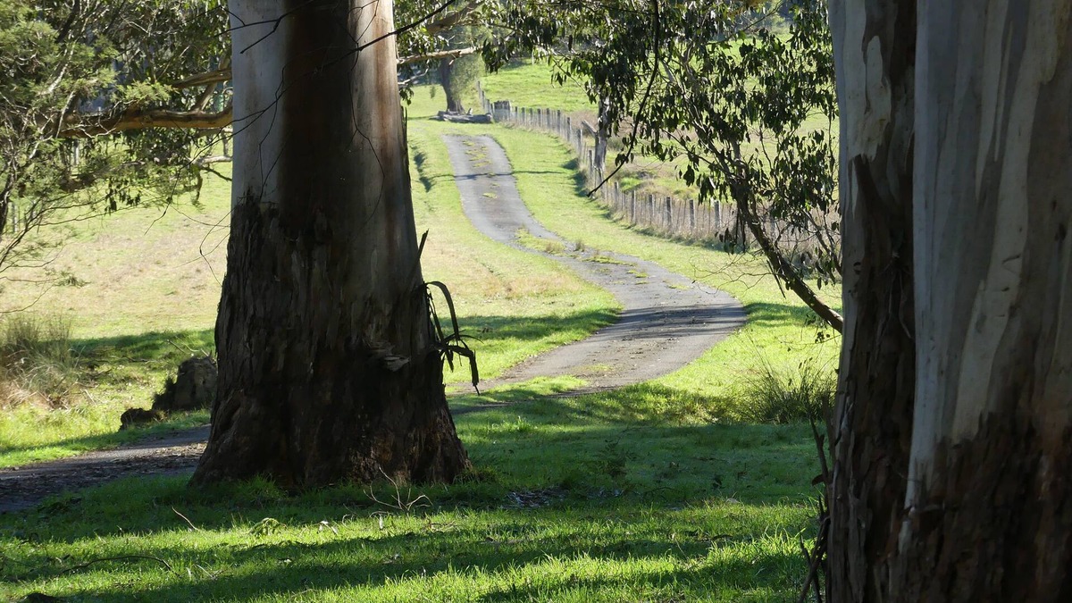 Yellingbo Cottage | Creekside Cottage country escape, Rumbellara Farm