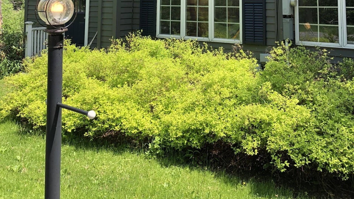 Cazenovia House | Creekside Farmhouse