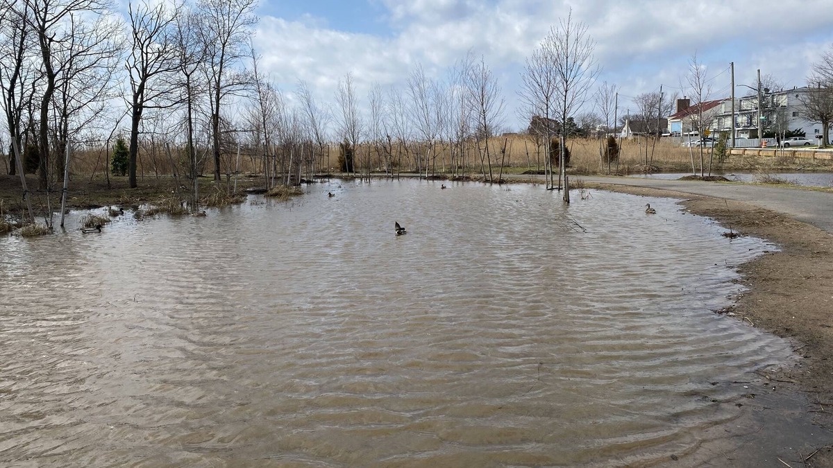 Great Kills House | Crescent beach walk distance to everything!