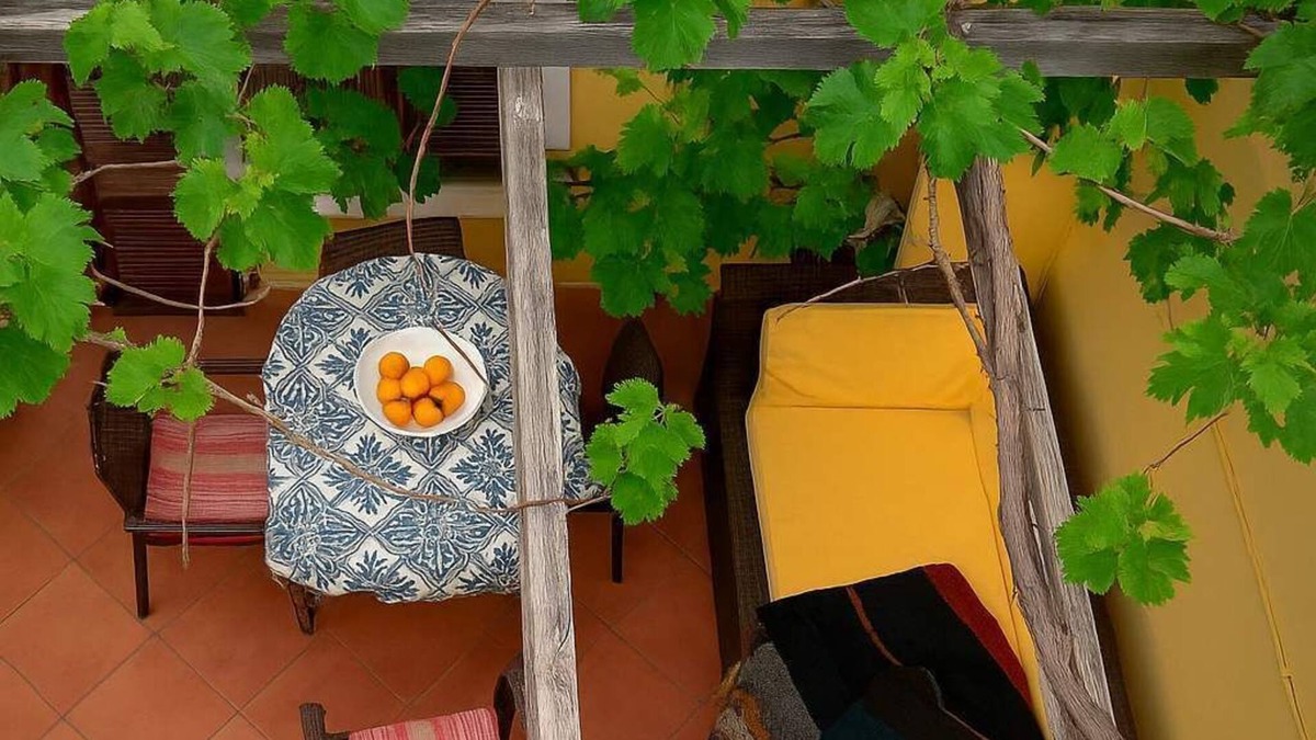 Skotino House | Cretan Magnolia Gem - Smari Cozy Getaway