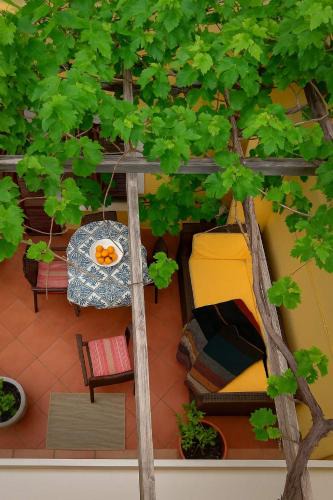 Skotino House | Cretan Magnolia Gem - Smari Cozy Getaway