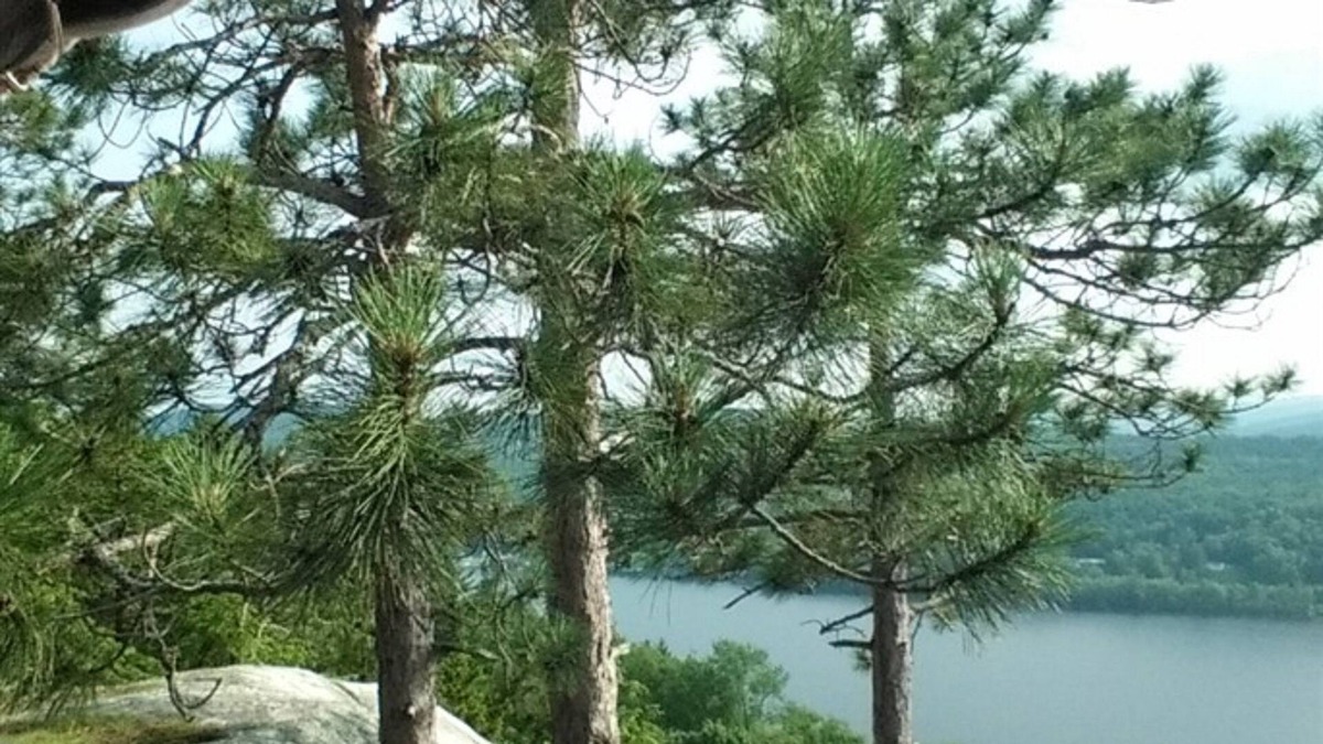 Barton Cabin | Crystal Lake Cabin