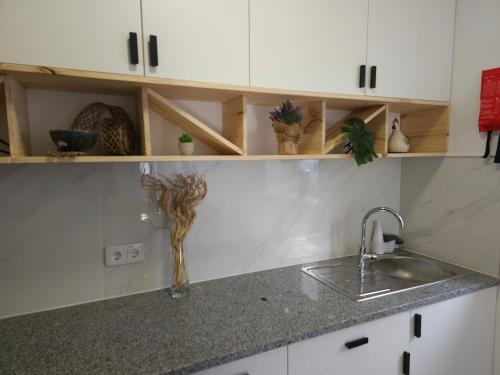 Ilhavo House | Curtido House