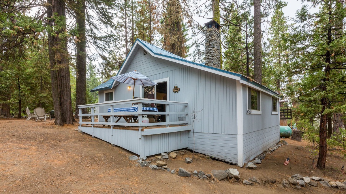 West Village Cabin | CUTE 2B/1B CABIN IN THE WEST VILLAGE ON MADRONE LANE