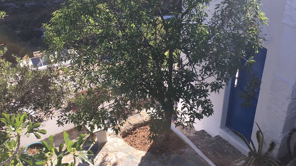 Aegiali House | Cycladic cottage