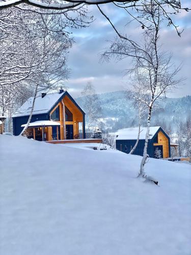 Makow Podhalanski Ski Chalet | Czill-Lokum- klimatyczna chata w Beskidach z balią i sauną