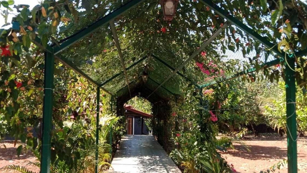 Chiplun Hotel | D Star Entertainment Water ParkAndResort