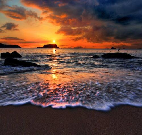 Las Gaviotas Apartment | D2 Golden Zone Oceanview apartment