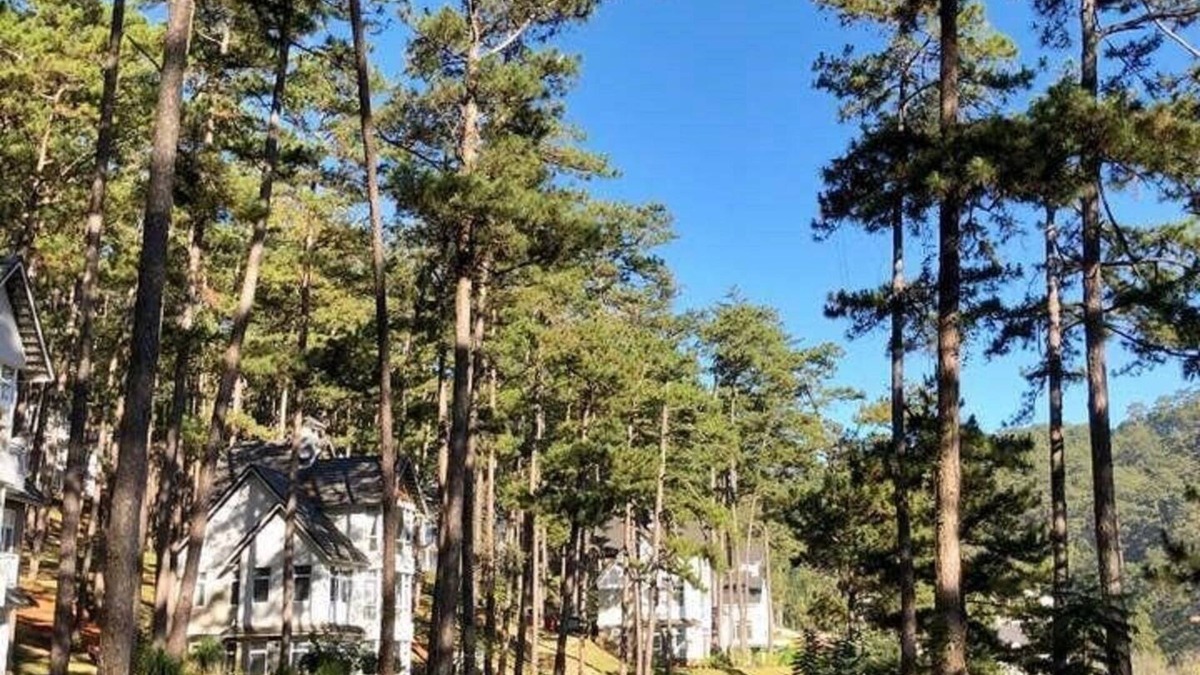 Da Lat Villa | Da Lat Luxury Lake View Luis Villa