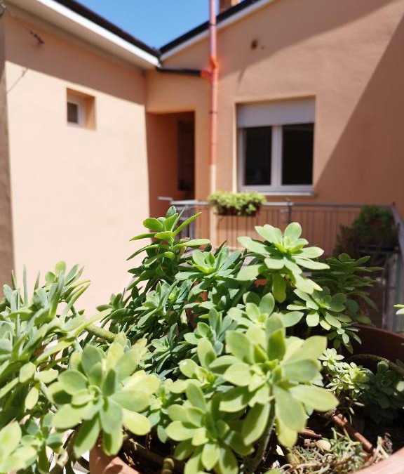 Medelana Apartment | Da Silvana