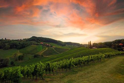 Spiefeld Apartment | Daheim an der Lage