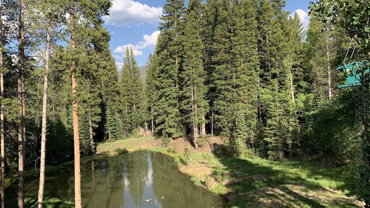 Peak 8 Cabin | DAILY WILDLIFE - BEAR, MOOSE, DEER - 3BR/3BA - SKI IN/SKI OUT - EARLY CHECKIN