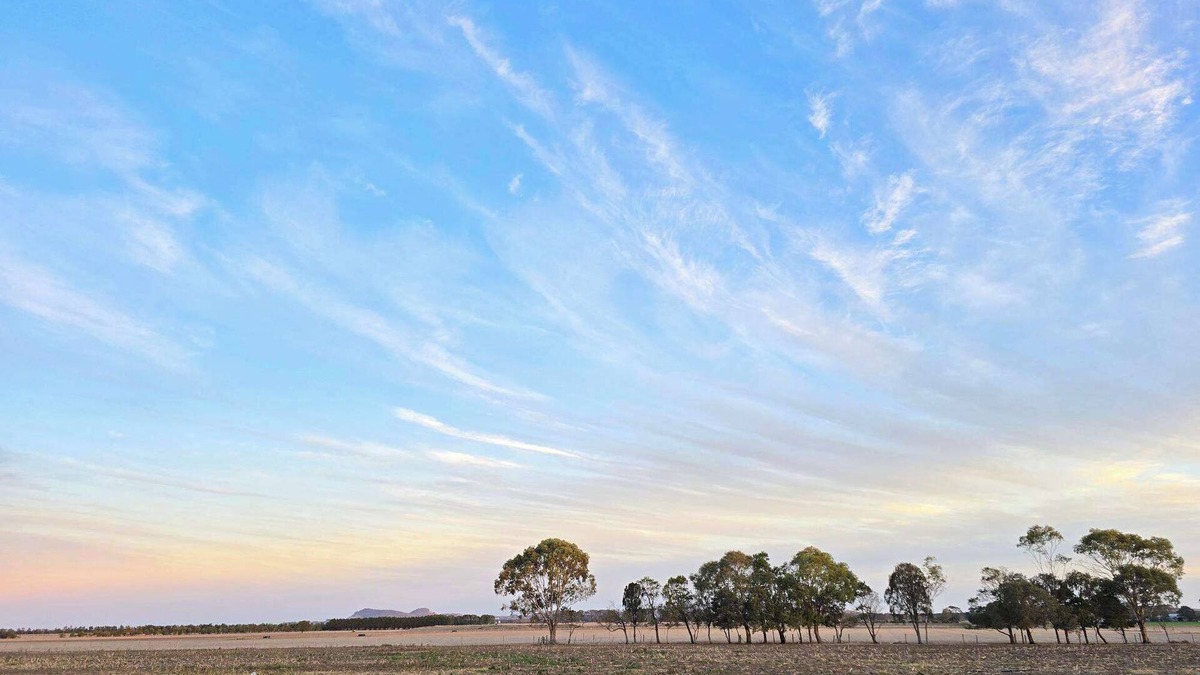 Bookaar House | Dairy Escape by Tiny Away