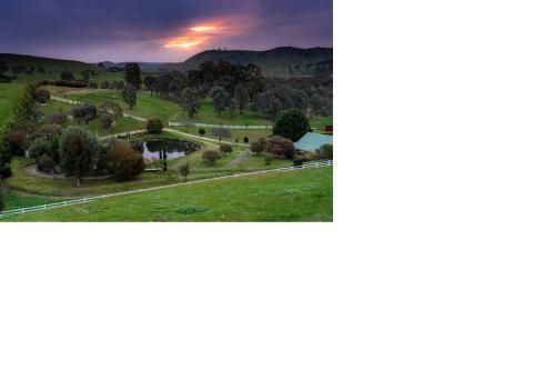 Bonnie Doon House | Daisy Hill Lodge