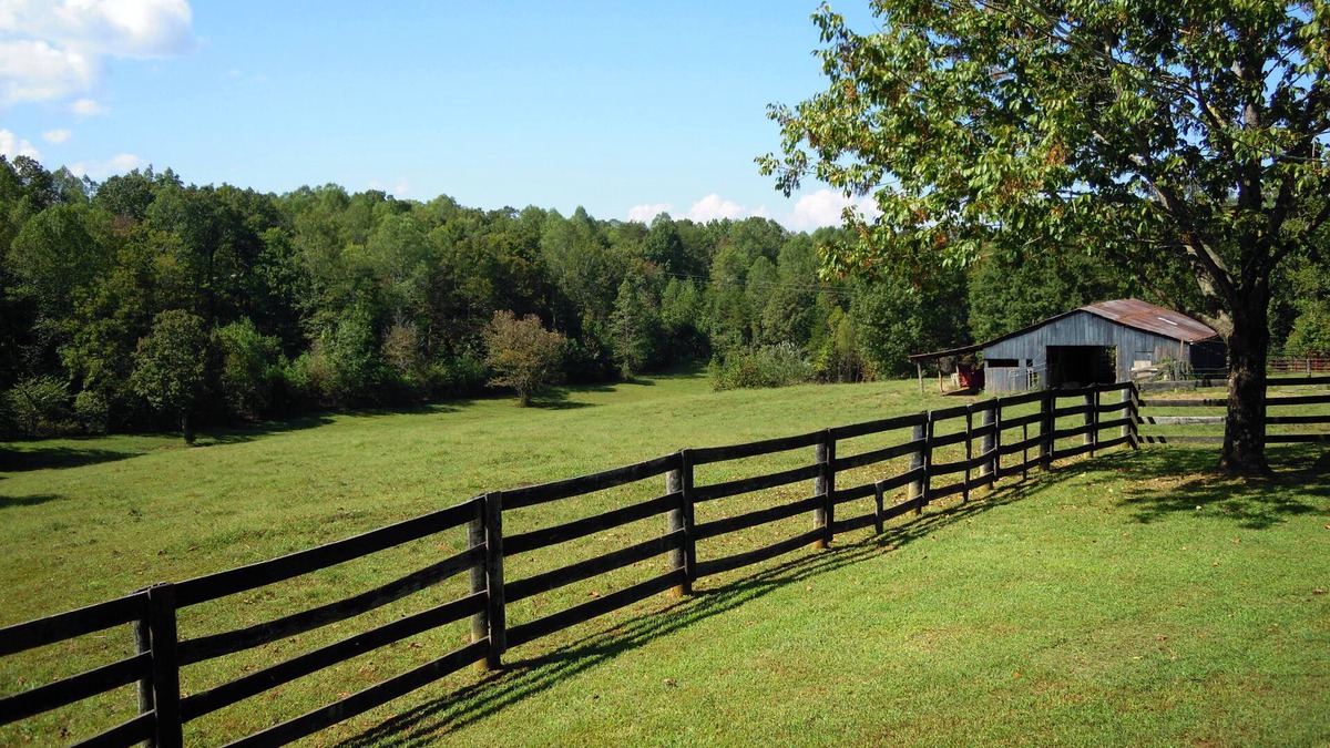Frogue House | Dale Hollow Cabin Next To State Park With Free Fire Pit & COVERED Boat Slip
