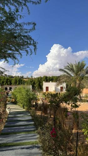 Liwa Resort | Damas Resort