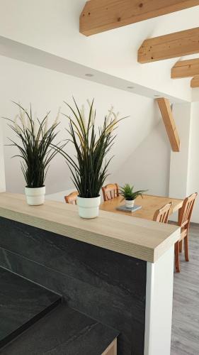 Salder Apartment | Dammstraße 24-DG-ZV38